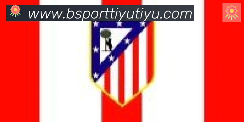 Bsports官网合作伙伴