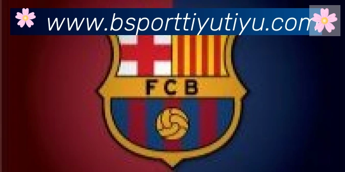 Bsports官网合作伙伴